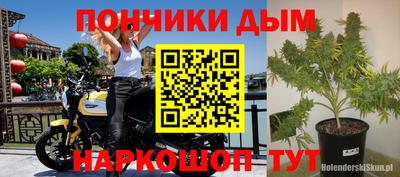 стаф Шебекино