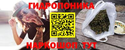 стаф Шебекино