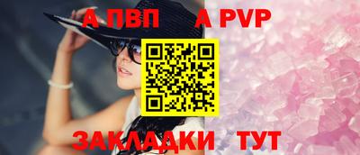 стаф Шебекино